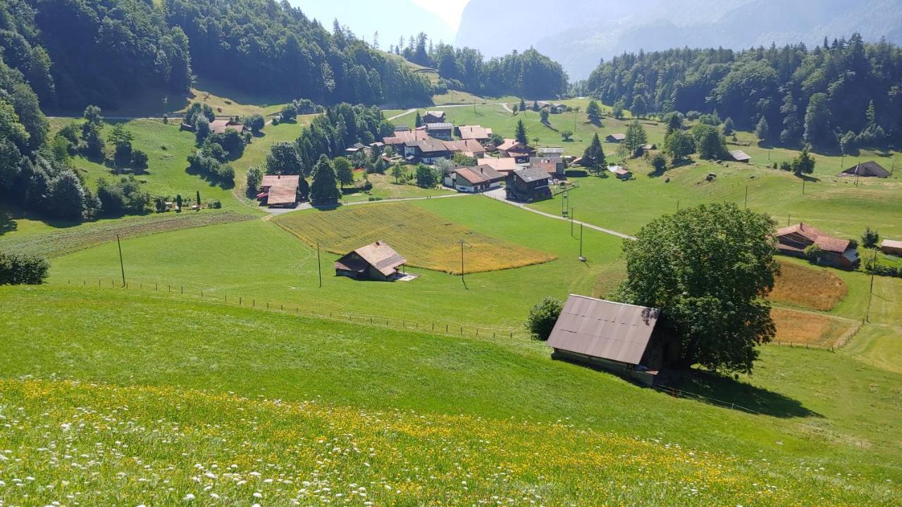 Chalet Bruenig Meiringen Kültér fotó
