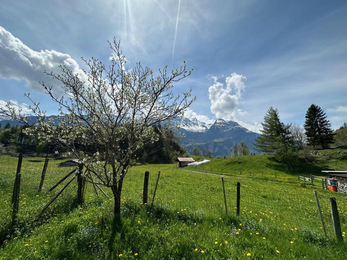 Chalet Bruenig Meiringen Kültér fotó