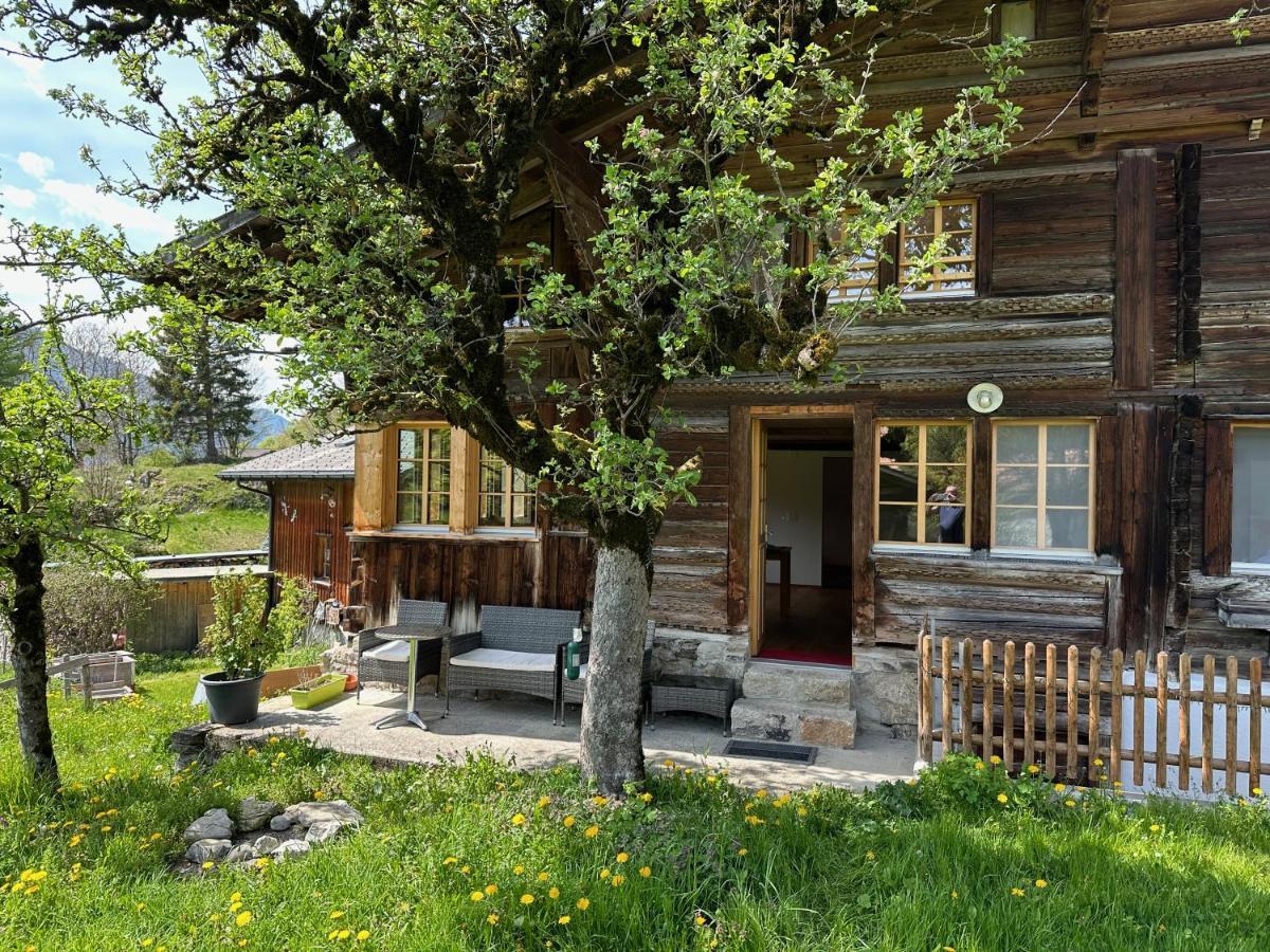 Chalet Bruenig Meiringen Kültér fotó