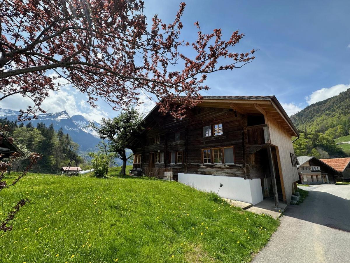 Chalet Bruenig Meiringen Kültér fotó