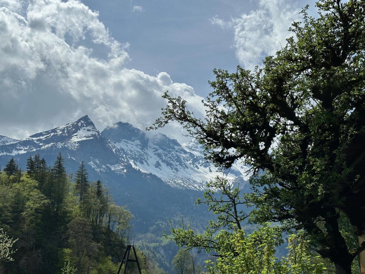 Chalet Bruenig Meiringen Kültér fotó