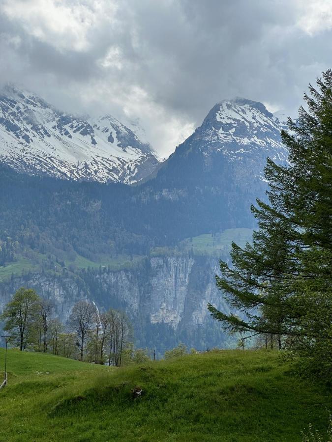 Chalet Bruenig Meiringen Kültér fotó