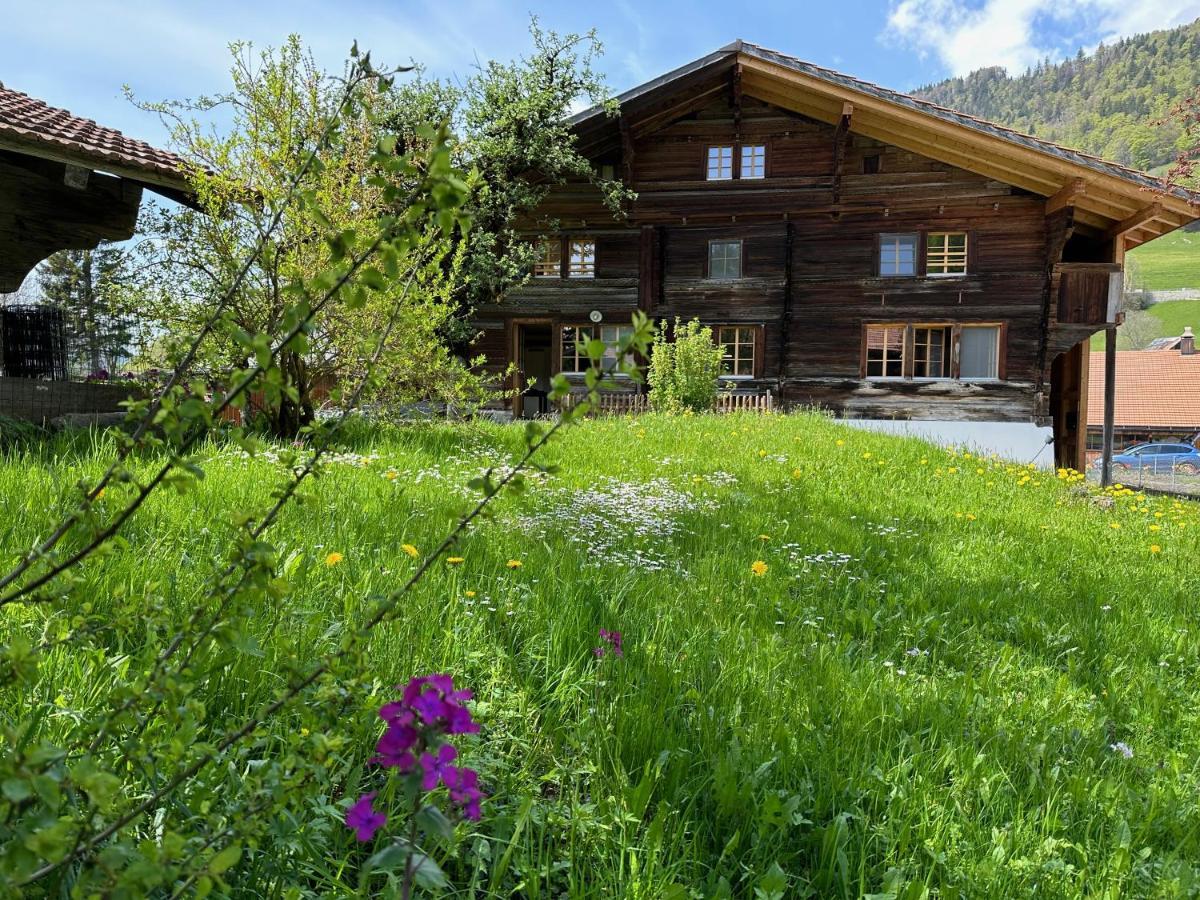 Chalet Bruenig Meiringen Kültér fotó