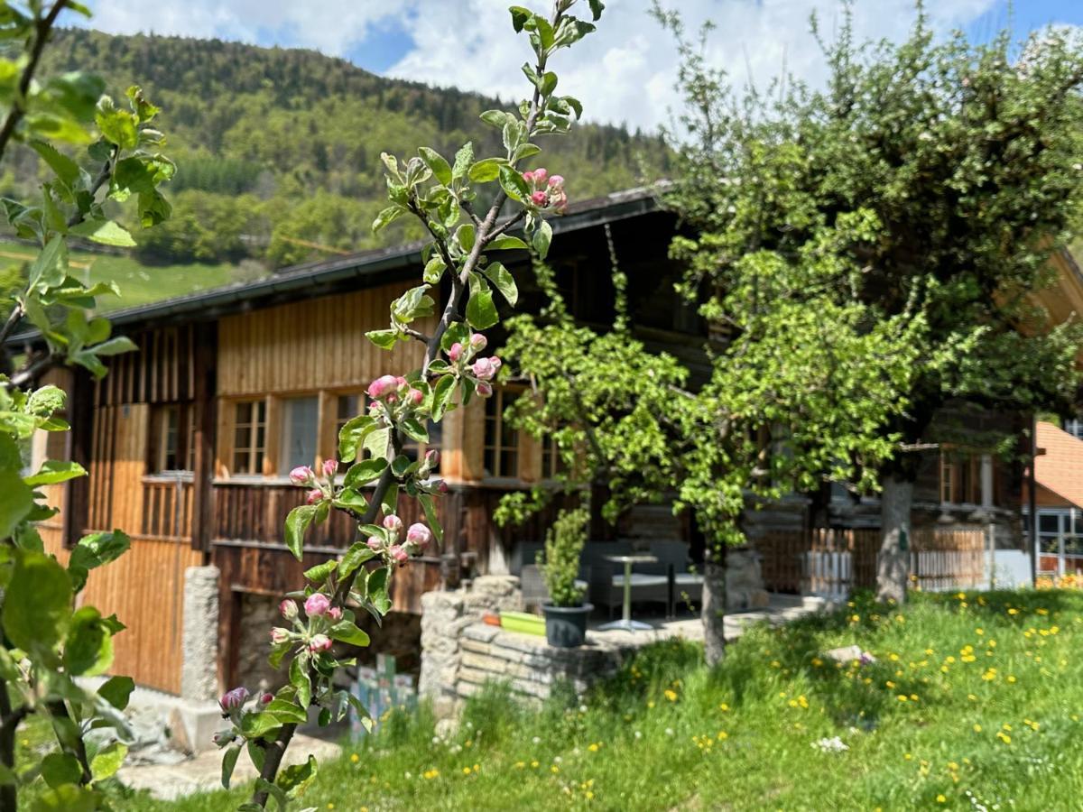 Chalet Bruenig Meiringen Kültér fotó