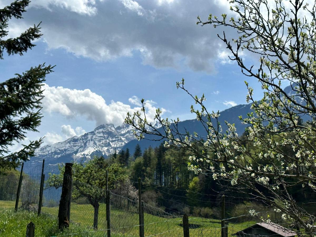 Chalet Bruenig Meiringen Kültér fotó