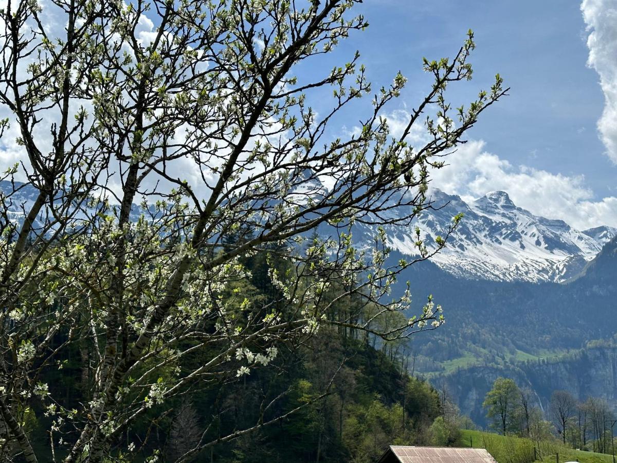 Chalet Bruenig Meiringen Kültér fotó