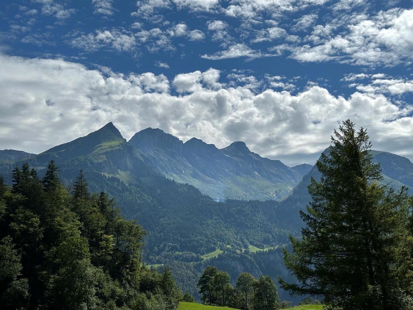 Chalet Bruenig Meiringen Kültér fotó
