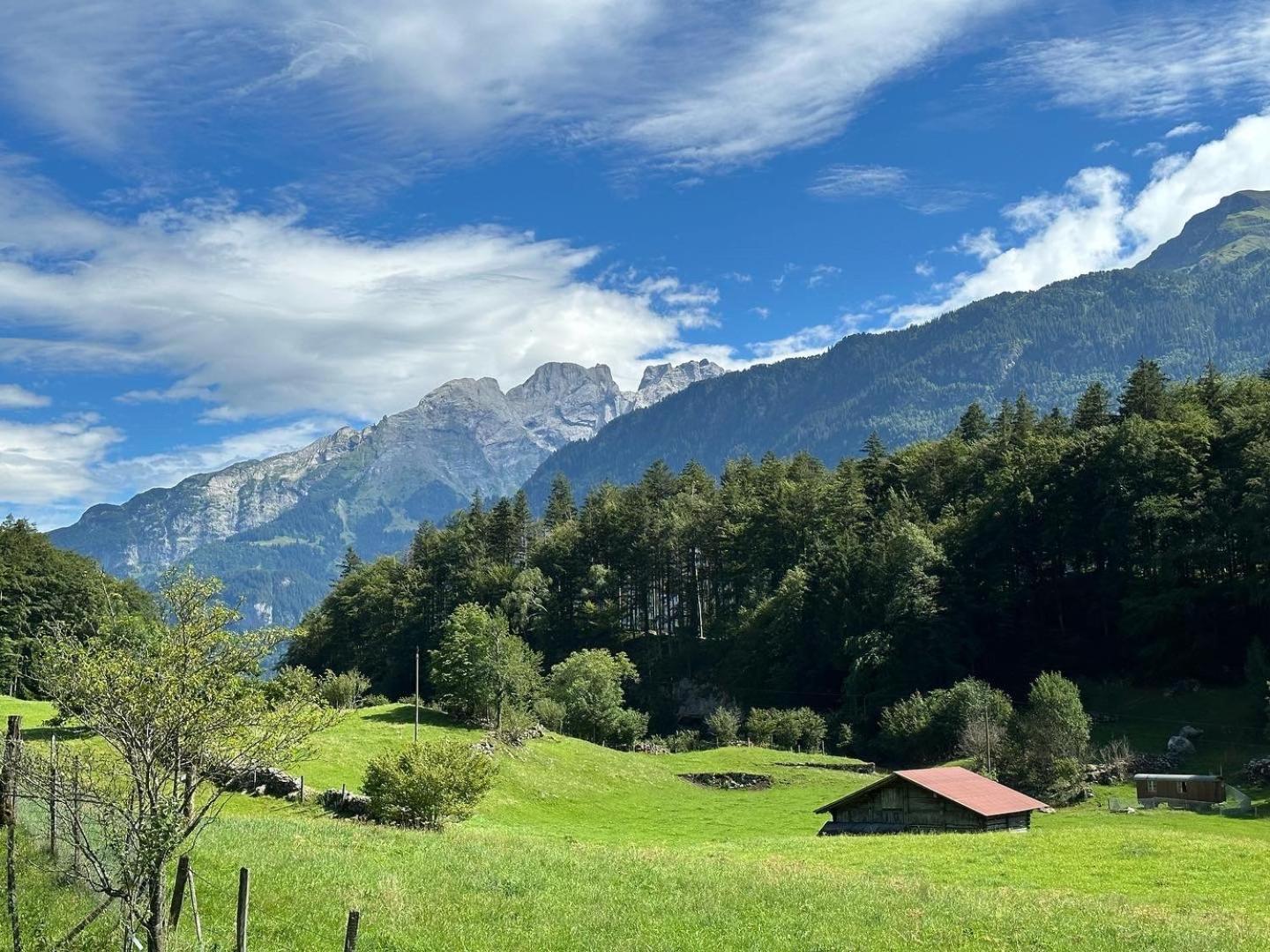 Chalet Bruenig Meiringen Kültér fotó