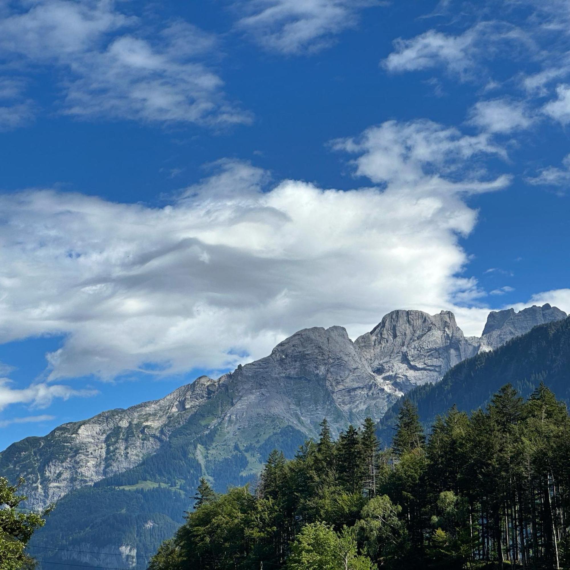 Chalet Bruenig Meiringen Kültér fotó