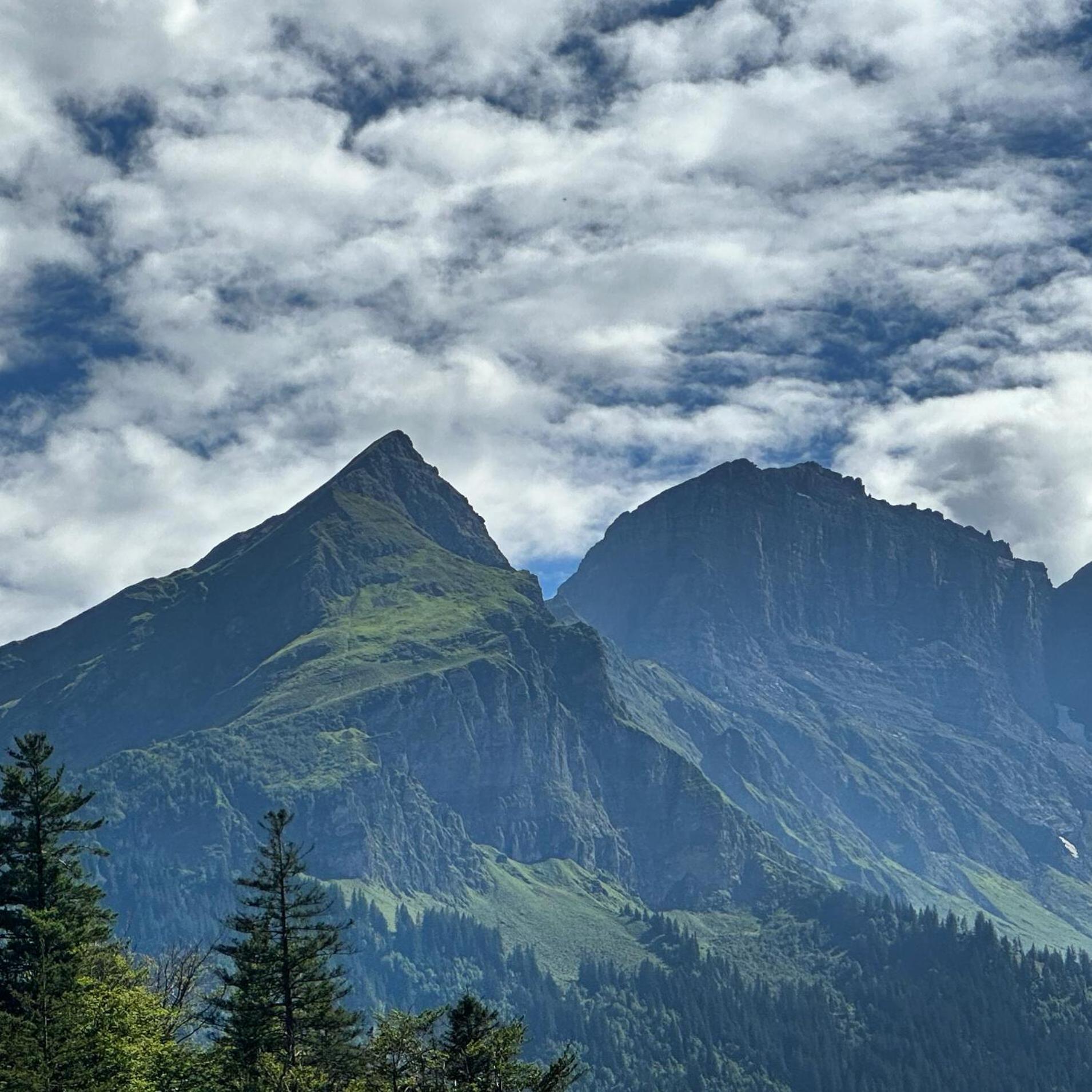 Chalet Bruenig Meiringen Kültér fotó